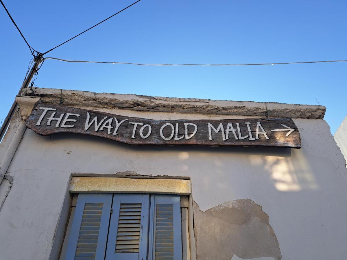 Stella Apartments Malia Esterno foto